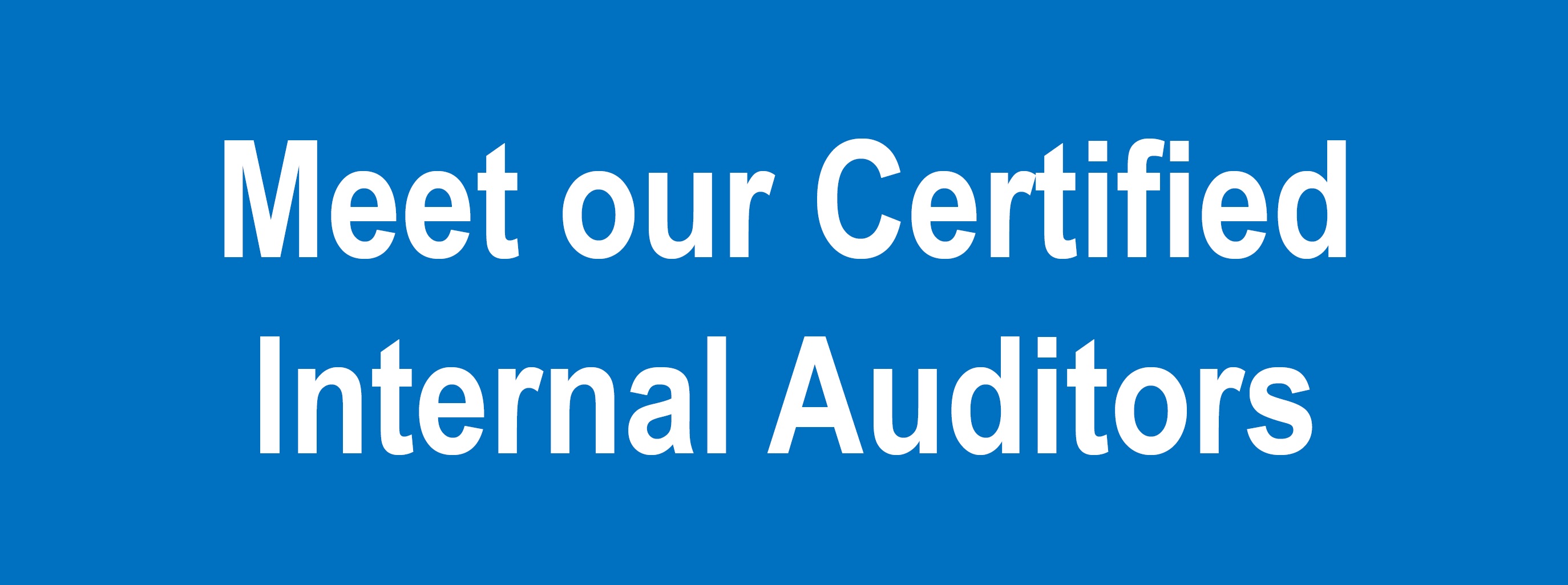 IIA-CIA-Part2 Study Reference